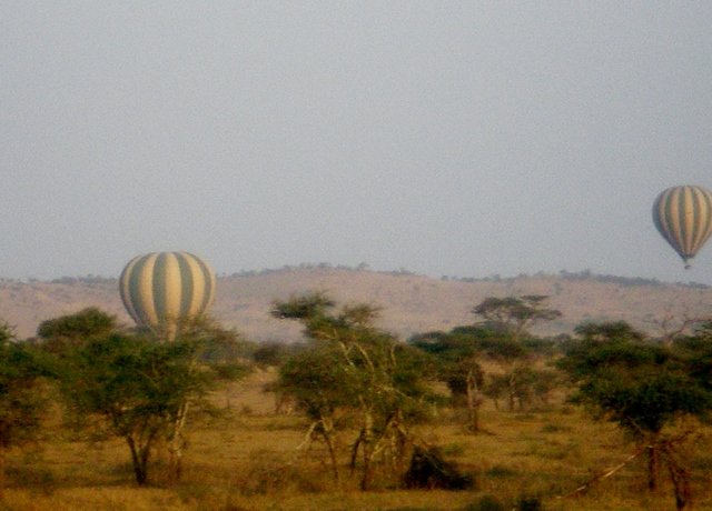 Tanzania 303